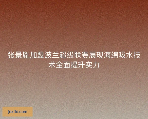 张景胤加盟波兰超级联赛展现海绵吸水技术全面提升实力